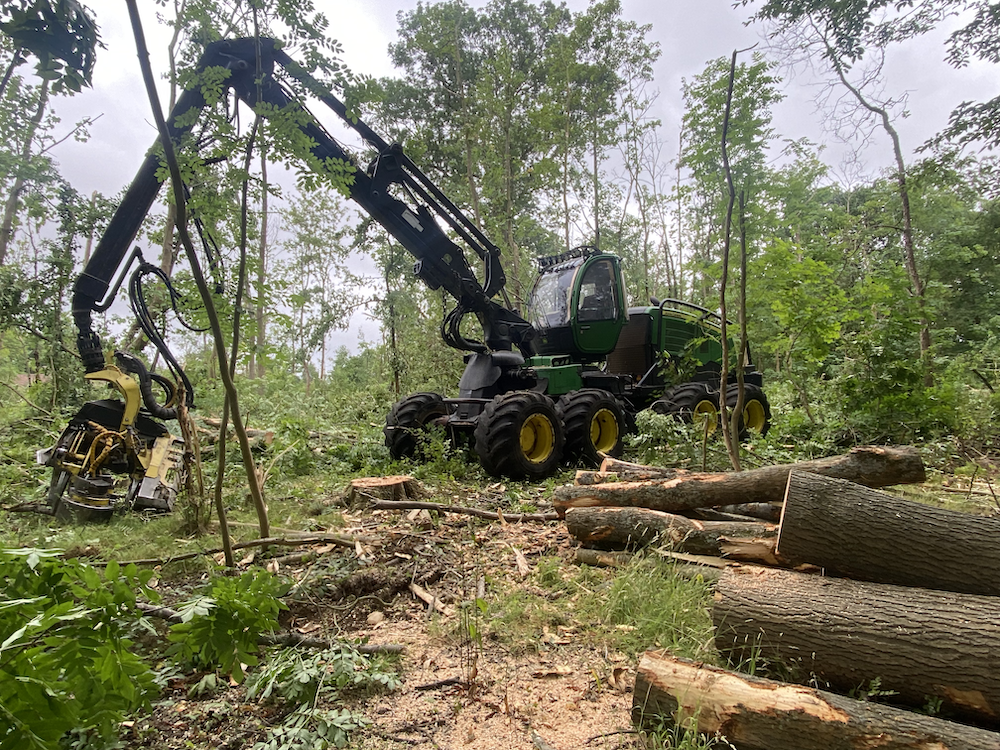 Sustainable Timber Harvesting