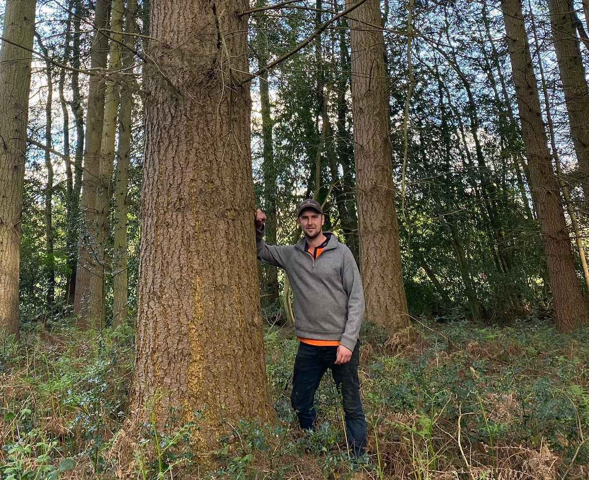 Forestry team in the field