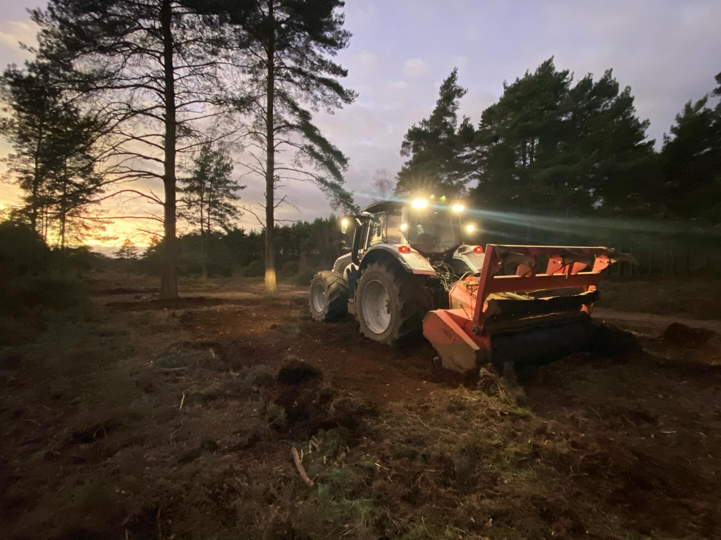 Mulching & Regeneration